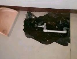 崇义卫生间测漏水多少钱